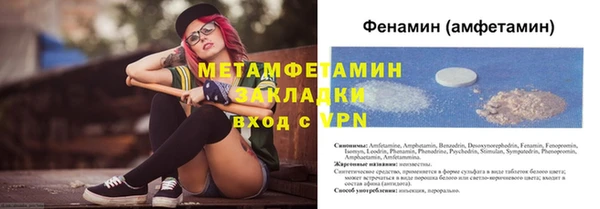 прущие грибы Вяземский
