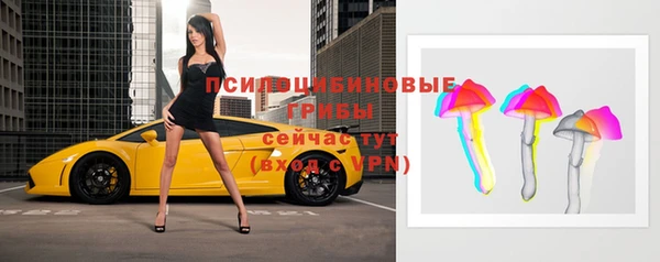 прущие грибы Вяземский