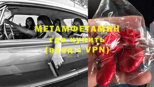 прущие грибы Вяземский