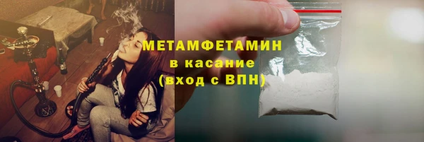 прущие грибы Вяземский