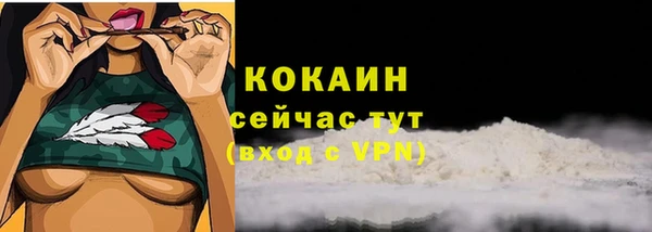 прущие грибы Вяземский