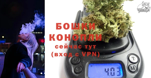 прущие грибы Вяземский
