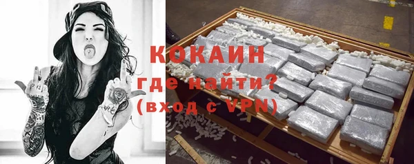 прущие грибы Вяземский
