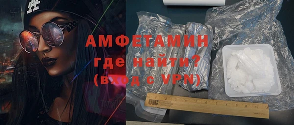 крисы Бородино